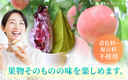 【果樹園が作る】素材の味を楽しめる 旬のジェラート 120ml×6個セット【ソルベッチdoうきは】着色料不使用 ノンホモ牛乳使用 ジェラート アイス 旬 スイーツ 詰め合わせ セット シャーベット ミルク フルーツ デザート