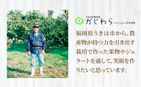 【果樹園が作る】素材の味を楽しめる 旬のジェラート 120ml×6個セット【ソルベッチdoうきは】着色料不使用 ノンホモ牛乳使用 ジェラート アイス 旬 スイーツ 詰め合わせ セット シャーベット ミルク フルーツ デザート