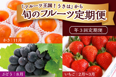 年3回定期便】「フルーツ王国！うきは」から 旬のフルーツ定期便 | 福岡県うきは市 | ふるさと納税サイト「ふるなび」