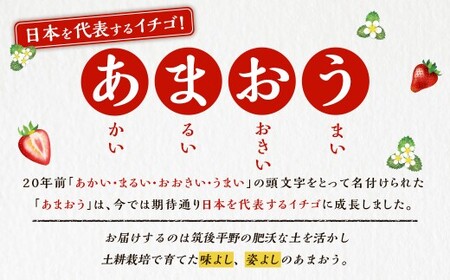 Green's 「いちごの王様」目指す福岡県産あまおう 250g×4パック 4月分 あまおう いちご イチゴ 苺 フルーツ 果物 冷蔵 送料無料 福岡県 うきは市 【2026年4月上旬～4月中旬より順次発送予定】