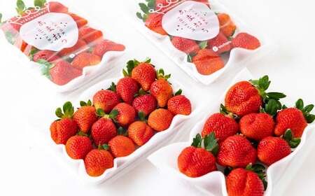 Green's 「いちごの王様」目指す福岡県産あまおう 250g×4パック 4月分 あまおう いちご イチゴ 苺 フルーツ 果物 冷蔵 送料無料 福岡県 うきは市 【2026年4月上旬～4月中旬より順次発送予定】