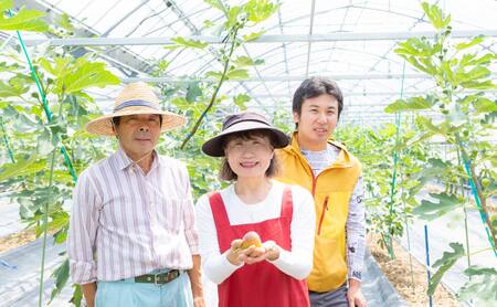 【先行予約】渡辺農園 いちじく (とよみつひめ) 4パック 2025年7月下旬から8月下旬 出荷予定