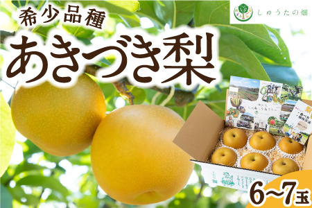 【先行予約】しゅうたの畑 希少品種 あきづき梨 6玉から7玉 2025年9月上旬から9月中旬 出荷予定