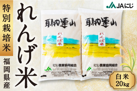 P443-20 JAにじ 特別栽培米「れんげ米」 白米20kg