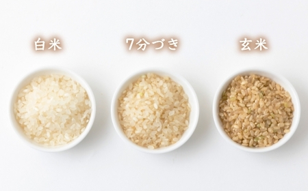 P454-10 みずほファーム 耳納いっ～とん米 (にこまる) 玄米10kg