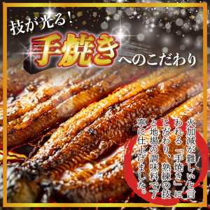 ＜いろは＞うなぎ蒲焼 国産 150g × 3尾 (有頭)　[M686] ウナギ 鰻 炭火焼き 肉厚 うな重 ランキング 土用の丑の日 鹿児島県 人気 オススメ 宮若市