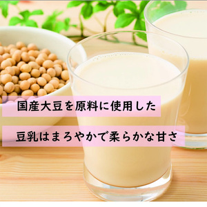【6ヶ月連続定期便】〈ふくれん〉　九州産大豆100％　成分無調整　豆乳　1000ml×6本　[M684-3T]　飲料　イソフラボン　ソイ　健康　たんぱく質