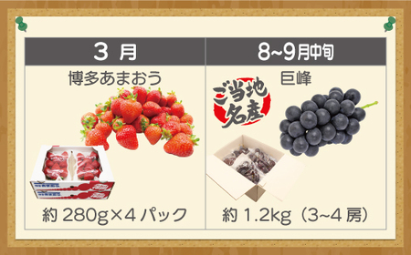 【定期便】宮若市旬のフルーツ定期便【全４回】 ブランド いちご ぶどう みかん 柿 大人気 NO1 限定品 高級 フルーツ 果物 くだもの 特別 冷蔵 プレゼント 九州 福岡 宮若市 ふるさと納税 おすすめ 送料無料 M763