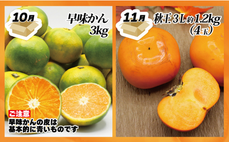 【定期便】福岡県ブランドフルーツ定期便(年4回) ブランド いちご いちじく みかん 柿 大人気 NO1 限定品 高級 フルーツ 果物 くだもの 特別 冷蔵 プレゼント 九州 福岡 宮若市 ふるさと納税 おすすめ 送料無料 M771