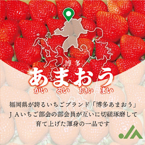 【先行予約】M759-4【2025年3月中旬より順次発送】博多あまおう4パック（春）