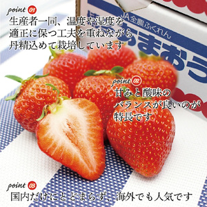 【先行予約】M759-4【2025年3月中旬より順次発送】博多あまおう4パック（春）