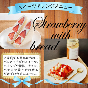 【先行予約】M759-4【2025年3月中旬より順次発送】博多あまおう4パック（春）