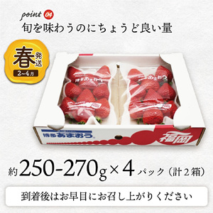 【先行予約】M759-4【2025年3月中旬より順次発送】博多あまおう4パック（春）