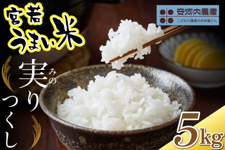 令和7年産　【先行予約】実りつくし 5kg　【10月下旬より順次発送】 福岡県宮若産〈安河内農産〉　[M788]　米・食味コンクール国際大会金賞米 精米 ブランド米 コメ ご飯 白米