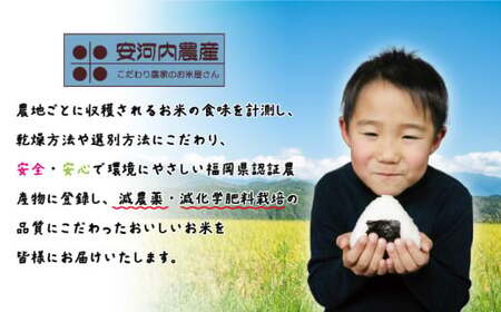 〈安河内農産〉令和7年産 【先行予約】実りつくし 10kg(5kg×2袋)【10月下旬より順次発送】福岡県宮若産 [M789-1] 米・食味コンクール国際大会金賞米 精米 ブランド米 コメ ご飯 白米