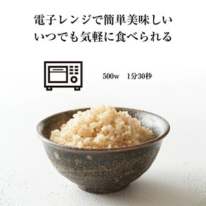 玄米 ごはん 夢つくし  PREMIUM パックごはん 160g×24食 M543-2