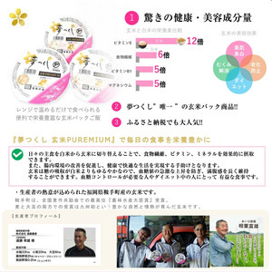 玄米 ごはん 夢つくし  PREMIUM パックごはん 160g×24食 M543-2