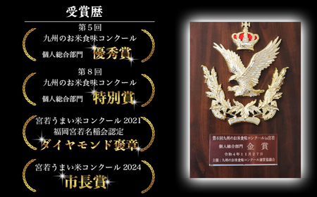 【3カ月定期便】令和7年産　【先行予約】実りつくし 10kg〔5kg×2袋〕×3か月【10月下旬より順次発送】福岡県宮若産 〈安河内農産〉　[M862]　米・食味コンクール国際大会金賞米 精米 ブランド米 コメ ご飯 白米