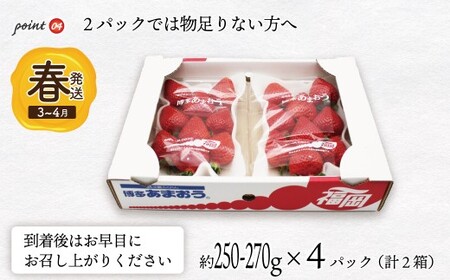 【先行予約】【2026年3月上旬より順次発送】博多あまおう 250g~270g×4パック[M869-1]