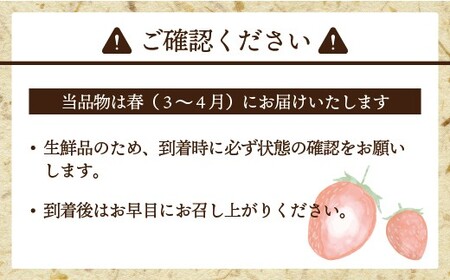 【先行予約】【2026年3月上旬より順次発送】博多あまおう 250g~270g×4パック[M869-1]