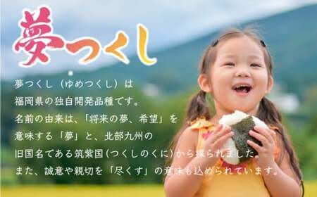 令和7年産 夢つくし 精米 10kg [M895-2] ごはん コメ ご飯 精米 白米 ブランド米