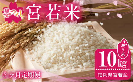 【3ヶ月連続定期便】令和7年産 夢つくし 精米 10kg〔5kg×2袋〕×3ヶ月 [M921-1] ごはん コメ ご飯 精米 白米 ブランド米