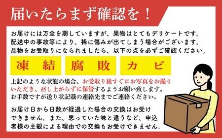【令和8年度産】【先行予約】福岡県宮若市産 いちじく 400g×4パック(1.6kg) [M894-1]
