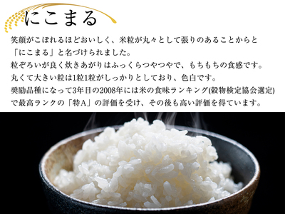 M59【令和5年産】 新米 米・食味コンクール国際大会金賞米「にこまる」１２キロ
