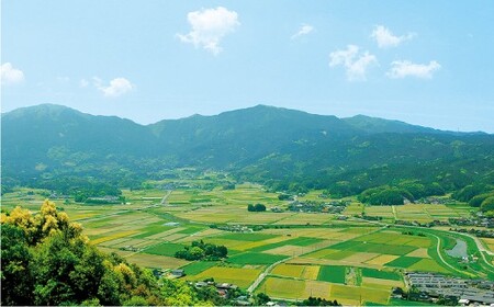 令和5年産 夢つくし 6kg 清らかな水で育った 福岡県産 特別栽培米