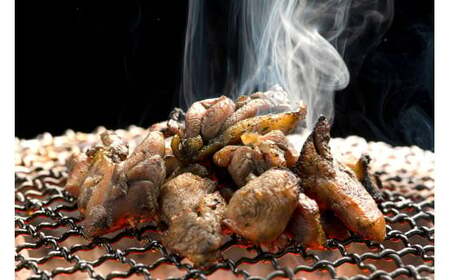 はかた地どり炭火焼 約500g(約100g×5パックセット)