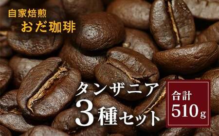 自家焙煎 おだ 珈琲 タンザニア 3種セット 各170g コーヒー 豆