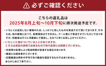 じぃじの いちじく【とよみつひめ】約1kg 【2025年8月上旬～10月下旬発送予定】 いちじく 果物 フルーツ 無花果 イチジク とよみつひめ 完熟