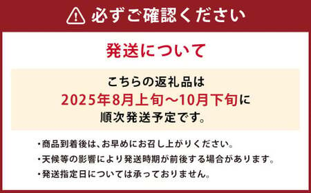 JAふくおか嘉穂 いちじく とよみつひめ 秀品 300g（3～5玉）×4パック 計1.2kg 【2025年8月上旬～10月下旬発送予定】