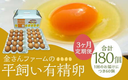 【定期便3回】【平飼い有精卵】60個入（54個+割れ保証6個） 合計180個 たまご 卵 玉子 鶏卵 平飼い 有精卵 定期便