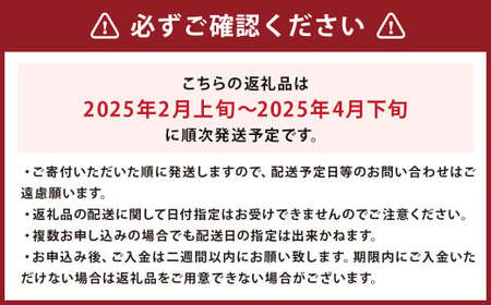 福岡県産 あまおう 270g×4パック 合計1080g 【2025年2月上旬～2025年4月下旬までに発送】 いちご ブランド