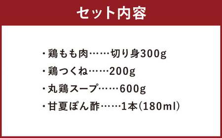 むなかた鶏使用 水炊き2人前 ／ 水たき 鍋 鶏肉 つくね