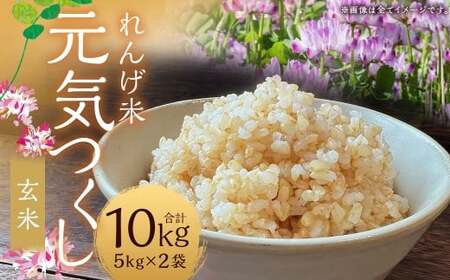 【れんげ米】【令和7年産】 元気つくし（玄米） 10kg（5kg×2袋） お米 玄米 【2026年3月下旬迄順次発送予定】 26,250円