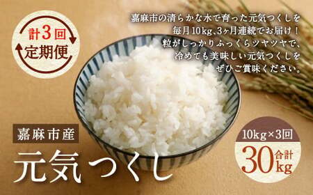 【令和7年産】【3ヶ月定期便】元気つくし お米 合計30kg (10kg×3回)【2025年11月上旬から順次発送予定】