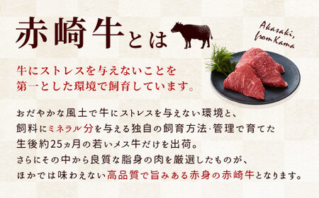 【定期便6回】赤崎牛 赤身ステーキ 約600g×6ヶ月 合計3.6kg