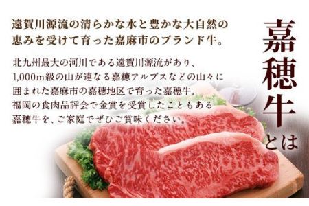嘉穂牛 カレー用 肉 約650g 牛肉 赤身 サイコロ