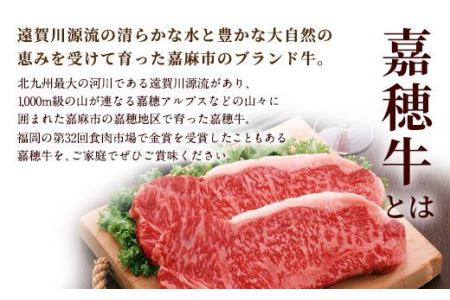 嘉穂牛 サーロインステーキ 2枚 合計約280g  国産 九州産 牛肉