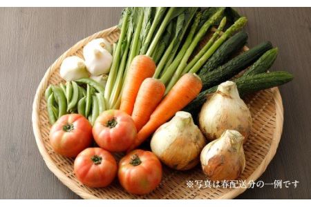 旬を感じるお野菜 定期便 年4回 季節 野菜セット