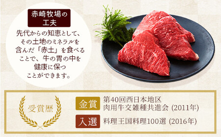 赤崎牛 ミンチ 約1kg 牛100％ 挽き肉