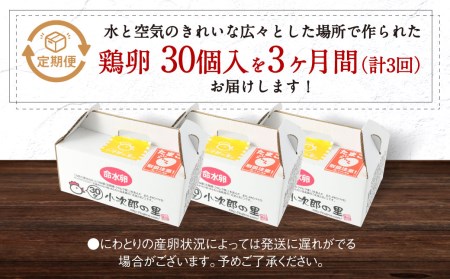 【3ヶ月定期便】鶏卵 30ヶ入×3回 合計90個 たまご  福岡県産