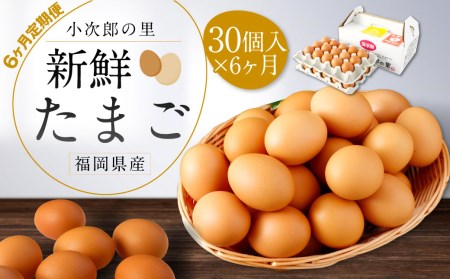 【6ヶ月定期便】鶏卵 30ヶ入×6回 合計180個 たまご 福岡県産