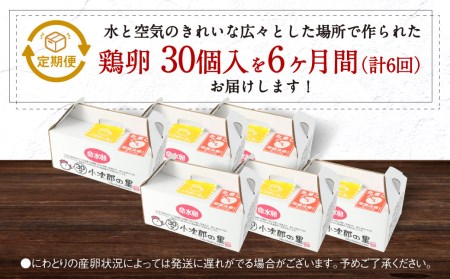【6ヶ月定期便】鶏卵 30ヶ入×6回 合計180個 たまご 福岡県産