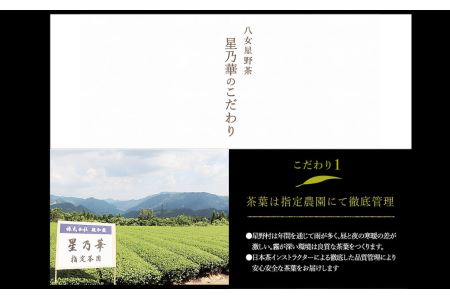 八女星野 玉露ティーバッグ 50パック (5g×50個) 緑茶 星野村 | 福岡県