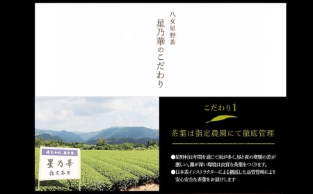 訳あり品 八女星野茶 深蒸し茶 1,100g（100g×11袋） 緑茶 お茶 | 福岡