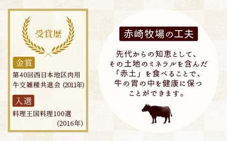 【冷凍】赤崎牛 赤身 ステーキ 約300g (150g×2枚) 牛肉