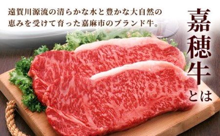 嘉穂牛 切り落とし 700g×2パック 合計1.4kg 牛肉 高品質